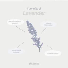 American Biotech Labs lavender buds with lotion highlighting calming scent