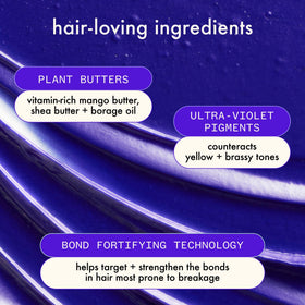 Amika ingredients close-up highlighting plant butters for nourishing and reparative benefits
