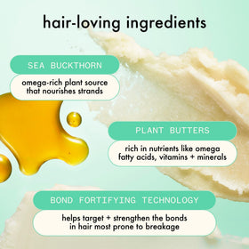 amika ingredients close-up with plant butters highlighting nourishing, moisturizing benefit