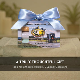 Amish Farms soap on bathroom shelf suggesting family-friendly use