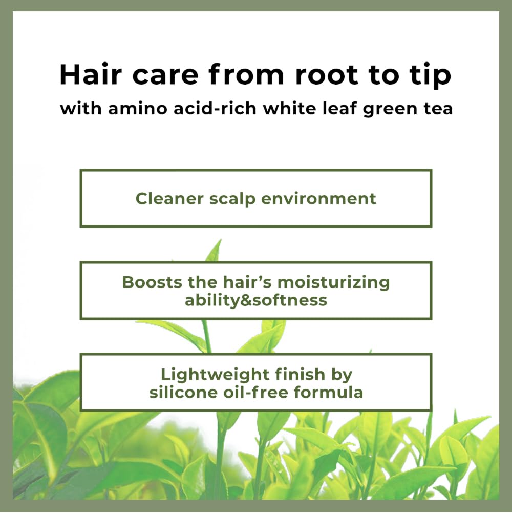 AMOS PROFESSIONAL applying mask to hair demonstrating root-to-tip coverage benefit