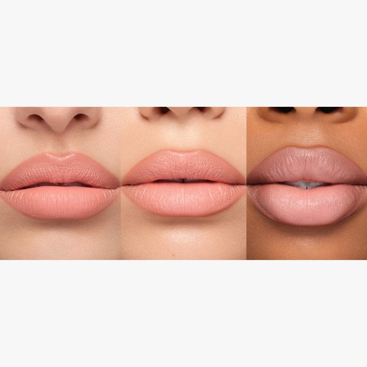 Anastasia Beverly Hills lifestyle swatch on lips showing wearable nude-rose