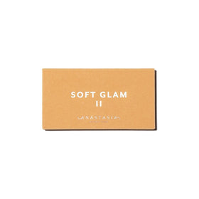 Anastasia Beverly Hills soft glam ii mini close-up of powder texture showing smooth, blendable finish