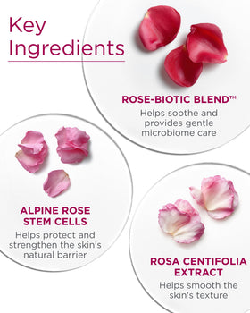 Andalou Naturals label close-up displaying key ingredients and clean standards