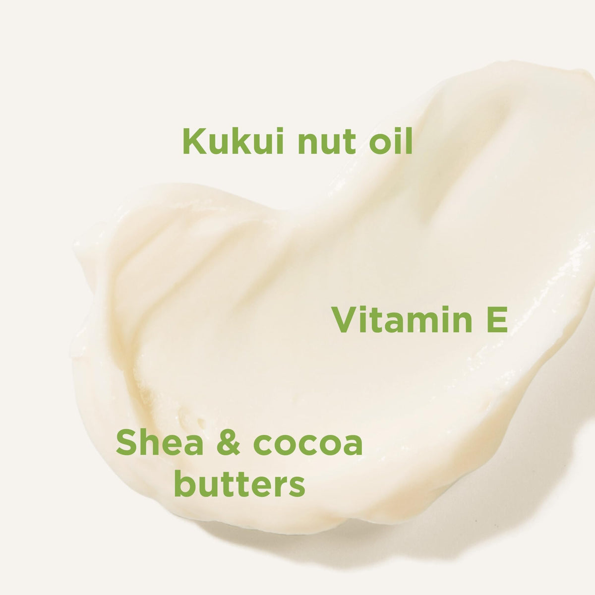Andalou Naturals ingredient flatlay with kukui, shea and cocoa to show natural sources