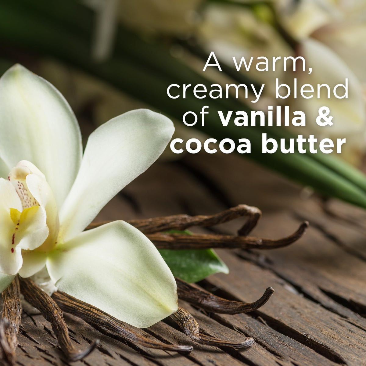 Andalou Naturals open jar with cream on a spoon demonstrating rich scoopable formula
