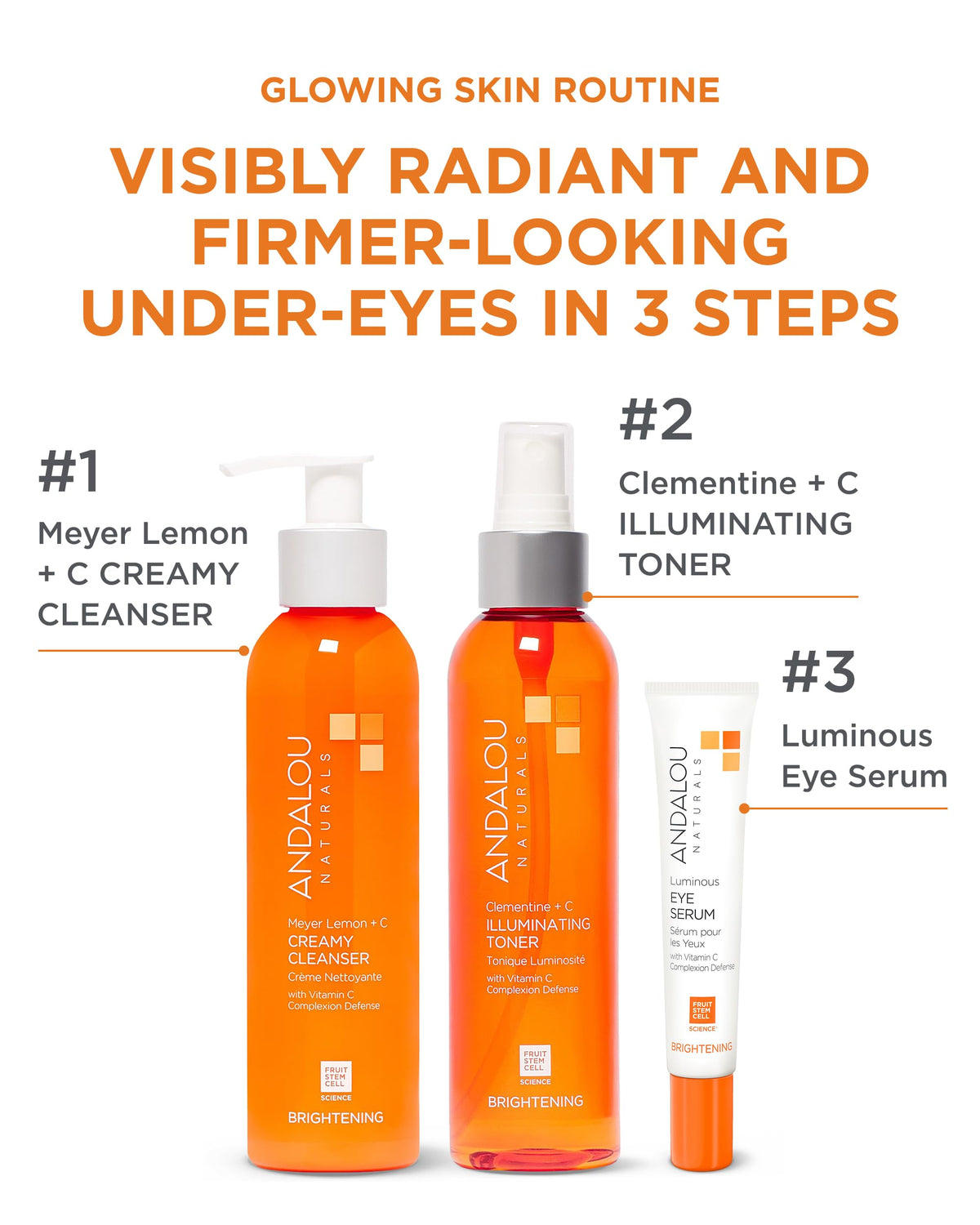 Andalou Naturals botanical ingredients display conveying natural sourcing benefits