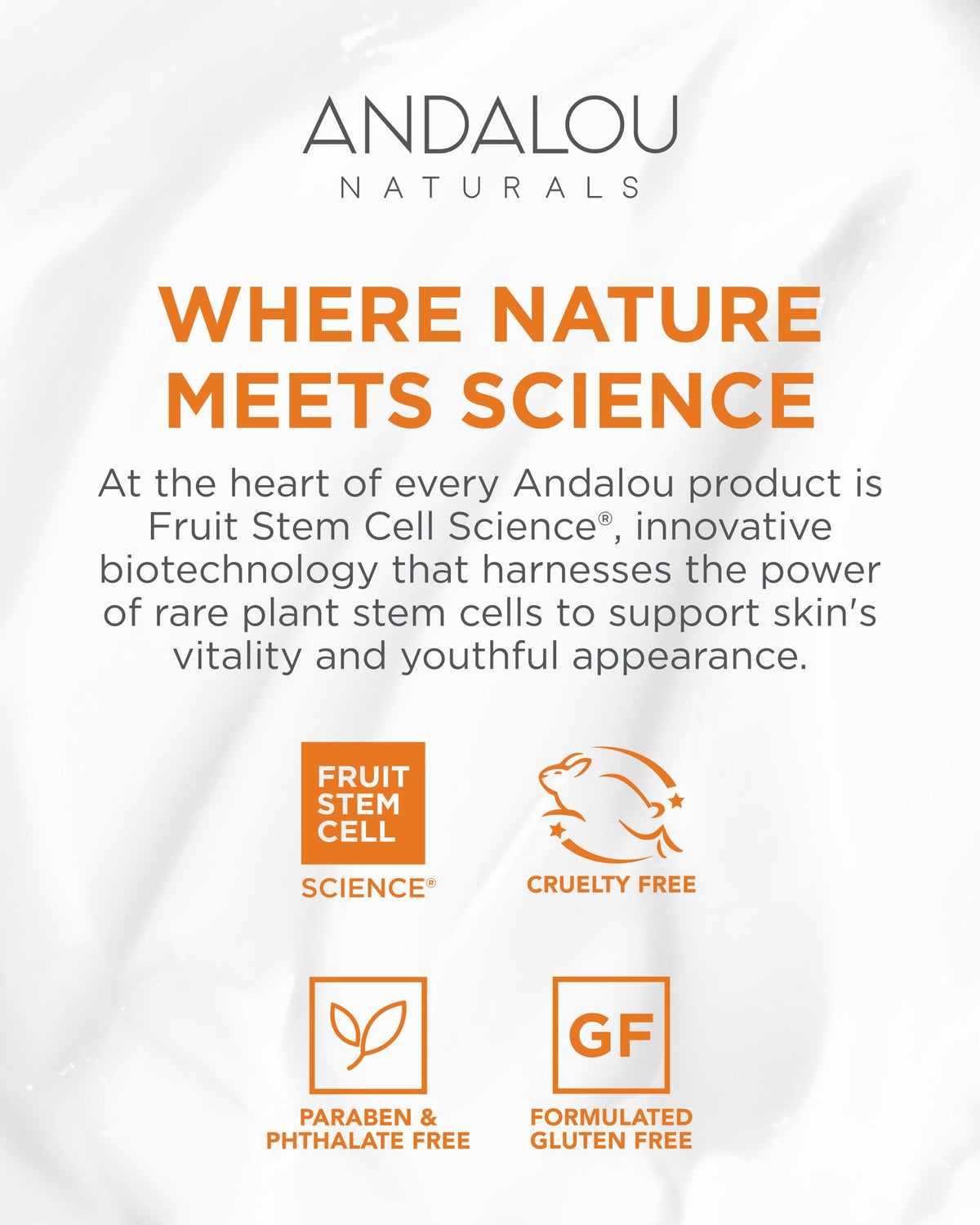 Andalou Naturals spatula applying mask illustrating easy, hygienic use