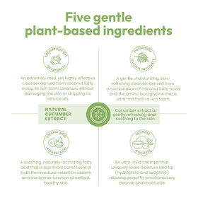ANDREW LESSMAN label close-up listing five plant-based ingredients and pH 5.7 benefit