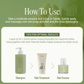 ANILLO green herb complex ingredients arranged to emphasize calming scalp benefits