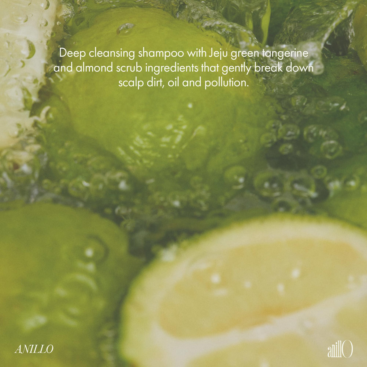 ANILLO lifestyle shelf with shampoo showing fresh citrus bathroom aesthetic