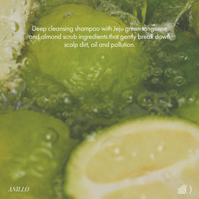 ANILLO lifestyle shelf with shampoo showing fresh citrus bathroom aesthetic
