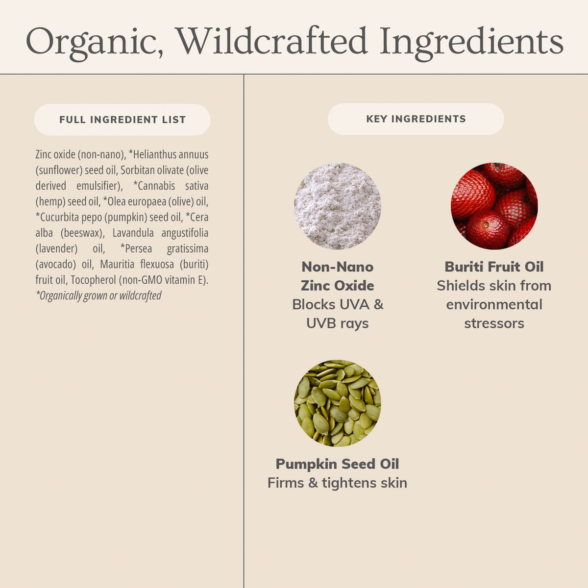 annmarie pumpkin seed oil ingredient shot showing nourishing botanical benefit