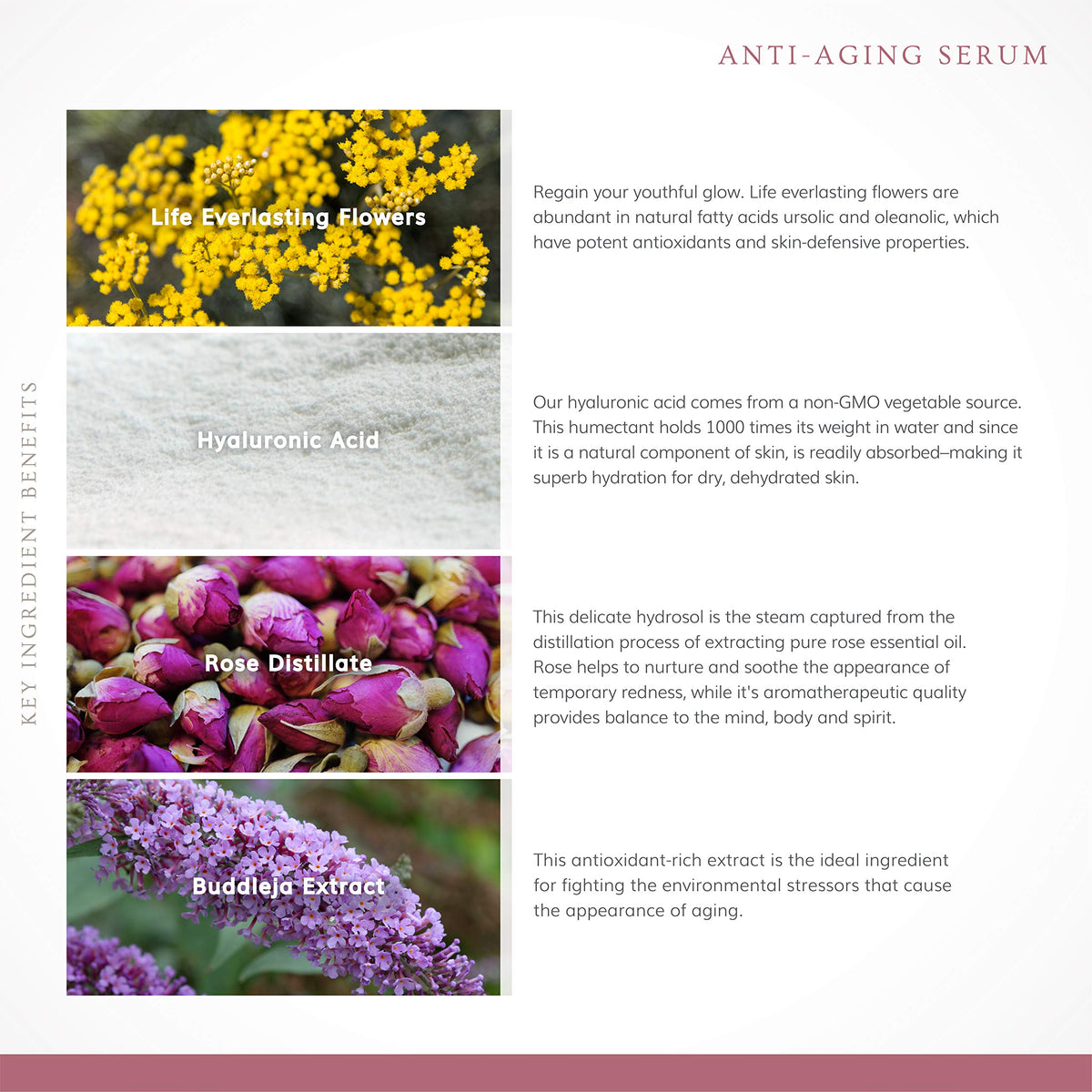annmarie serum drop texture close-up highlighting smooth absorbency and visible hydration