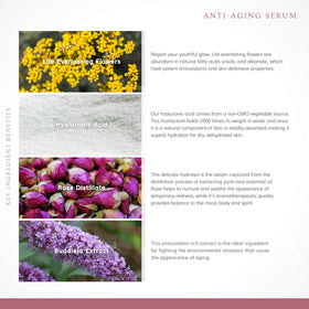annmarie serum drop texture close-up highlighting smooth absorbency and visible hydration