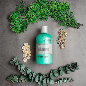 Anthony charcoal and sea kelp close-up highlighting clarifying benefits