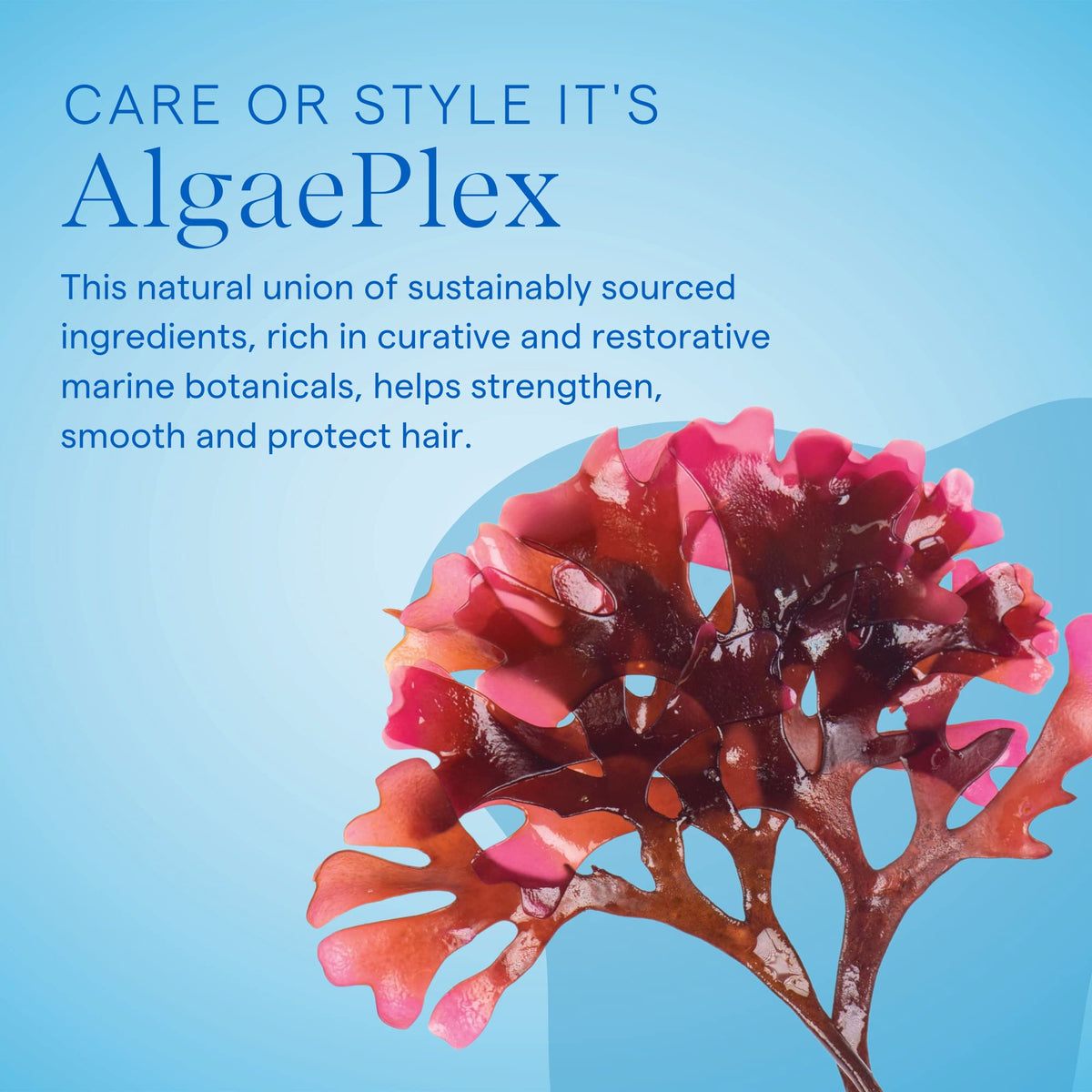 Aquage SeaExtend bottle in hand to show 8 oz scale and portability