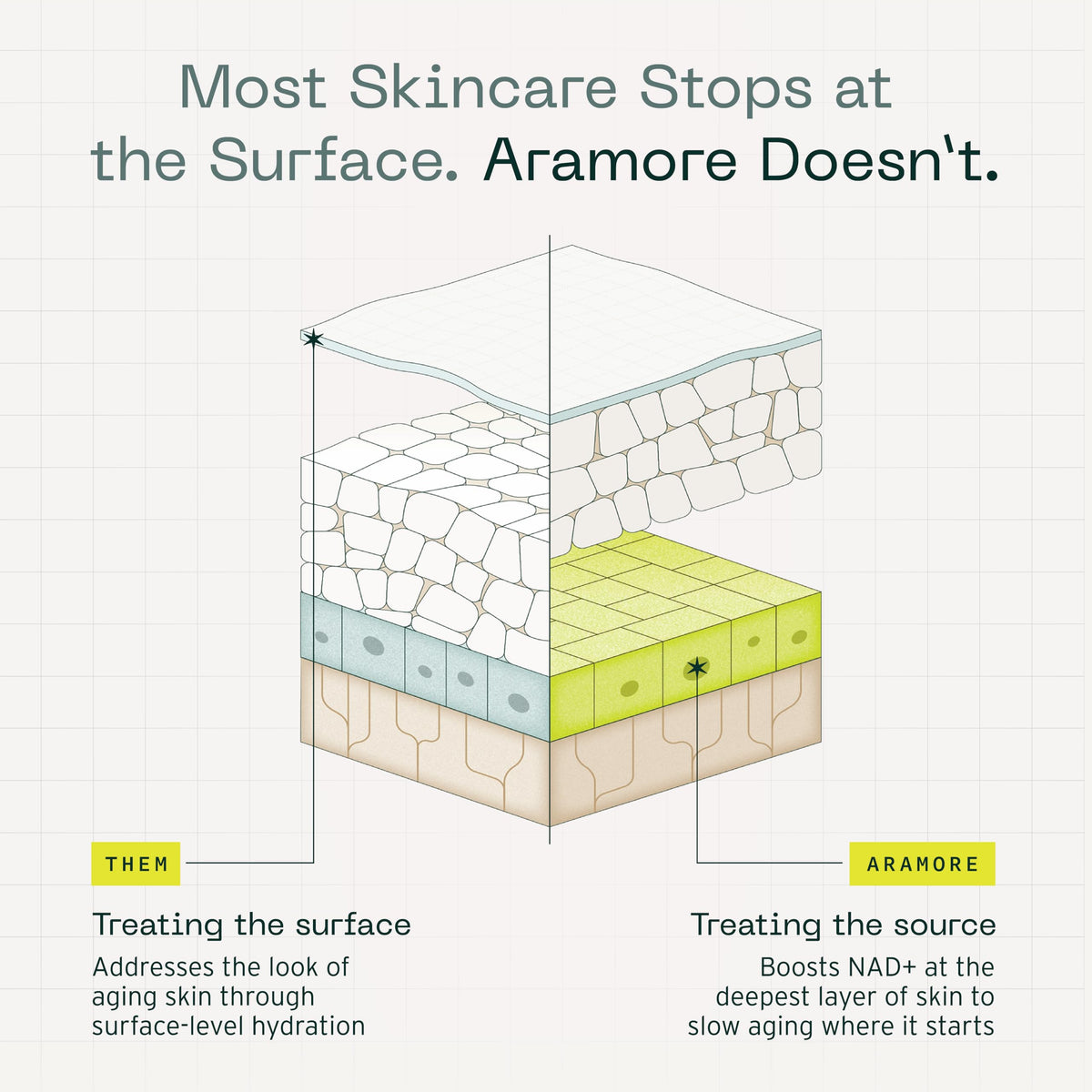 Aramore ingredient complex visual showing NAD+ precursor focus and support