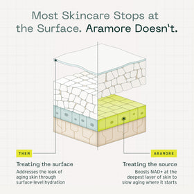 Aramore ingredient complex visual showing NAD+ precursor focus and support