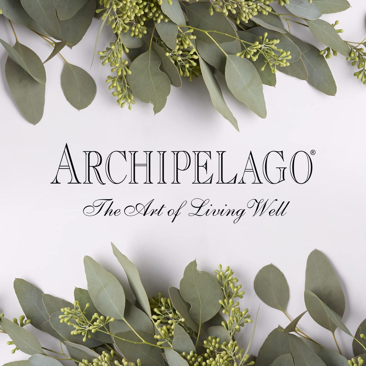 Archipelago Botanicals body wash in-shower use demonstrating mild cleansing