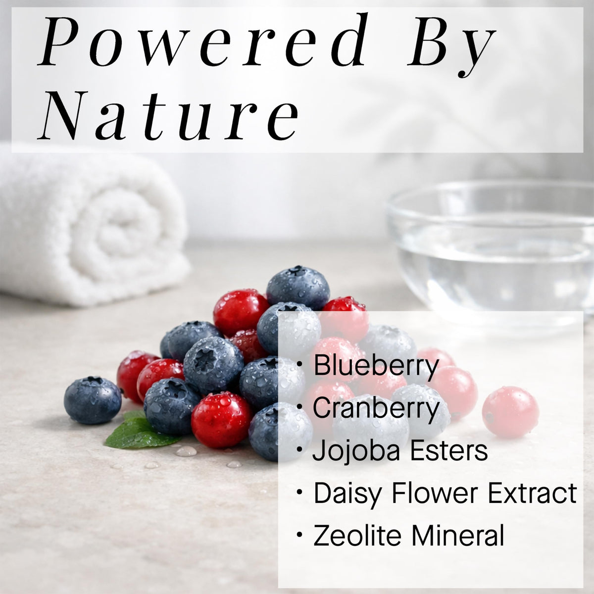 ARCONA blueberries and cranberries next to product showing natural antioxidant benefit