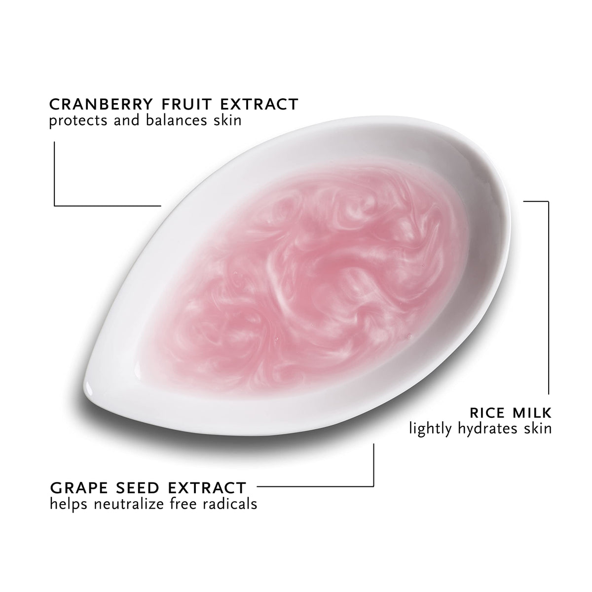 ARCONA cranberry toner ingredients flatlay with rice and cranberries for brightening