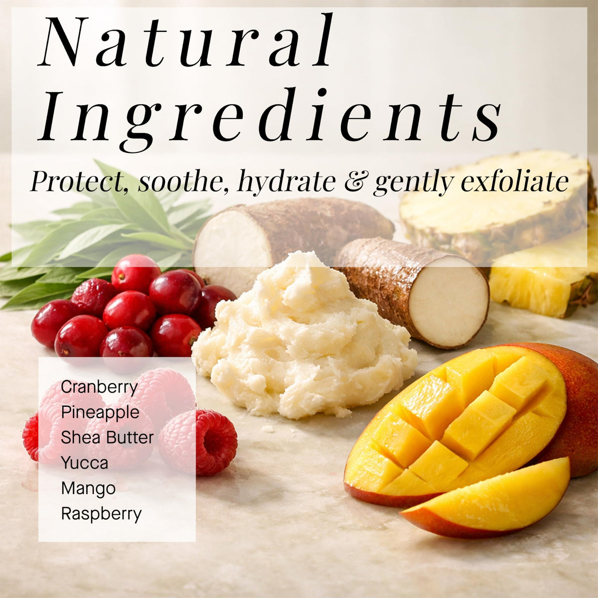 ARCONA ingredients display with cranberry and white tea highlighting antioxidants