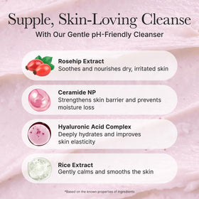 ARENCIA product label highlighting ceramide and rosehip ingredients for barrier support
