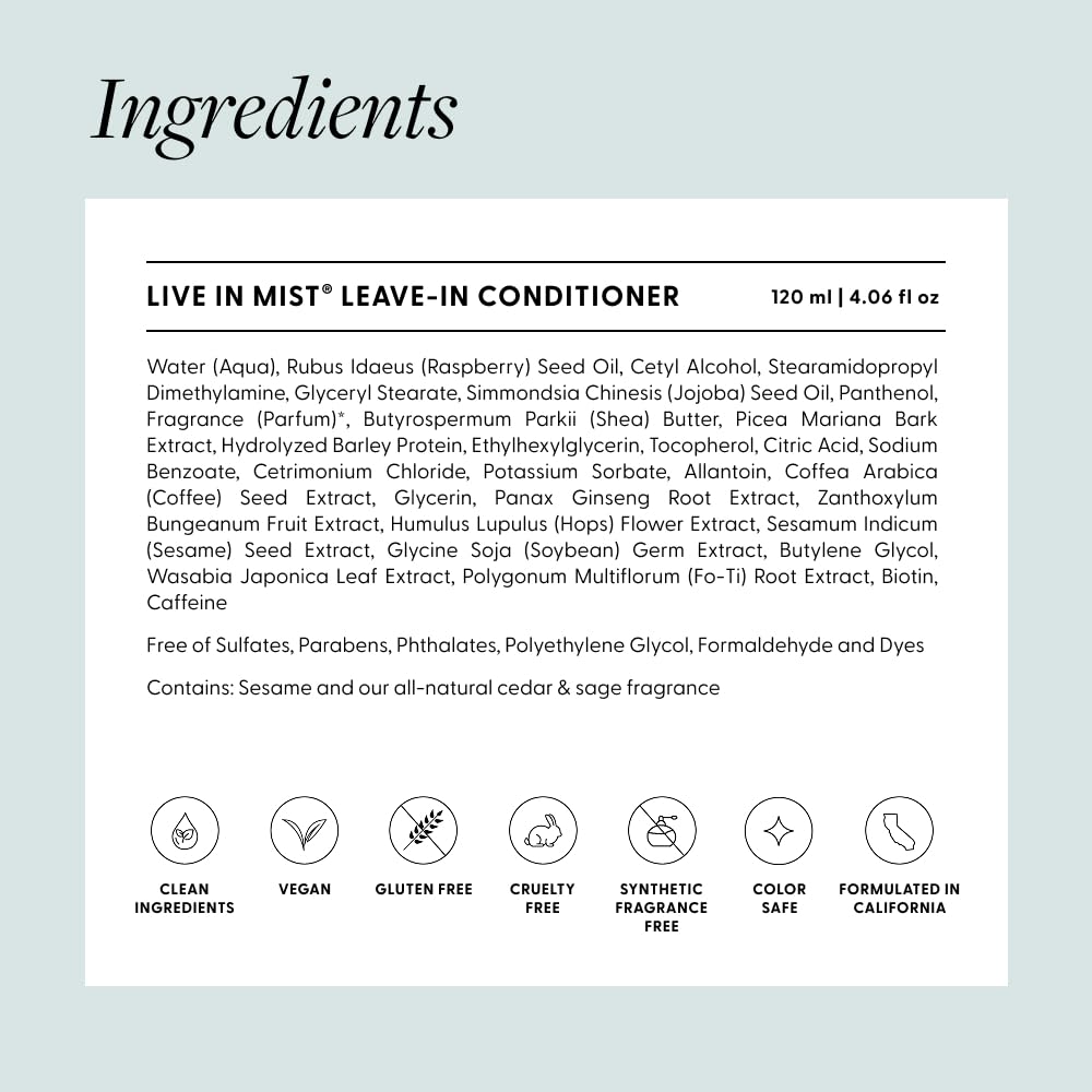 Arey Live In Mist product texture on strands, tames frizz and adds slip