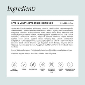Arey Live In Mist product texture on strands, tames frizz and adds slip