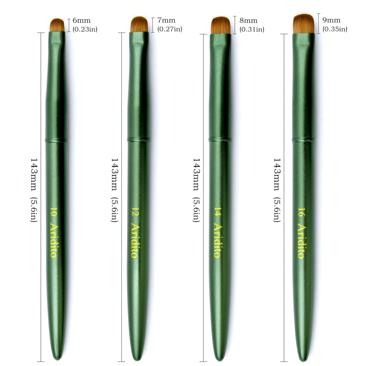 Aridito scale comparison with a hand to show brush sizes #10 #12 #14 #16 for correct selection