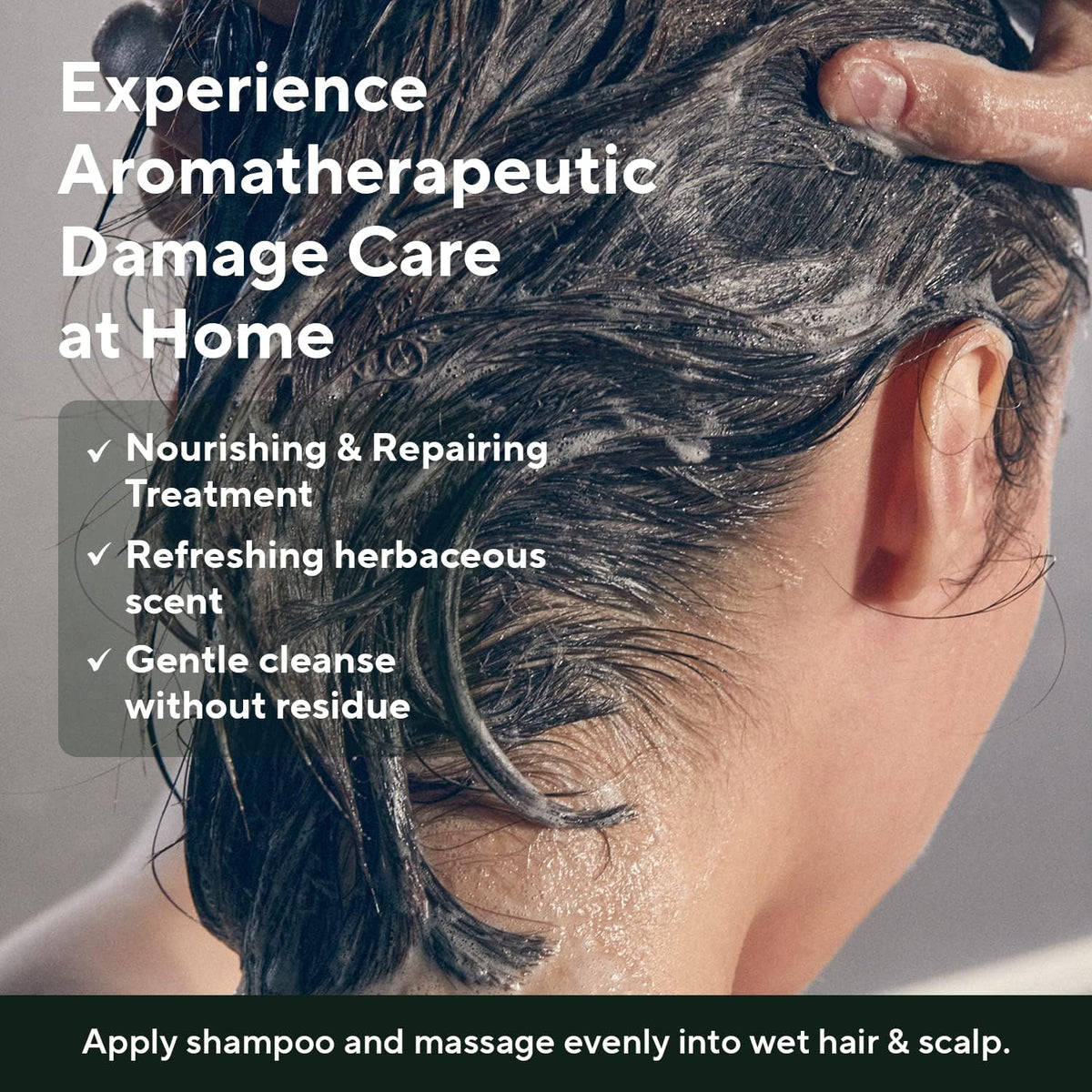 AROMATICA shampoo lathered on wet hair illustrating cleaning action and improved manageability