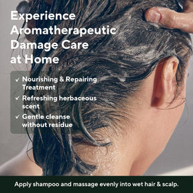 AROMATICA shampoo lathered on wet hair illustrating cleaning action and improved manageability