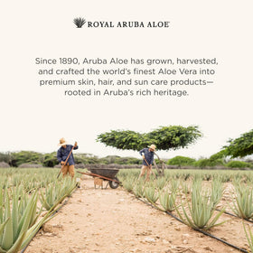 Aruba Aloe ingredient label close-up listing aloe, jojoba, and vitamin E