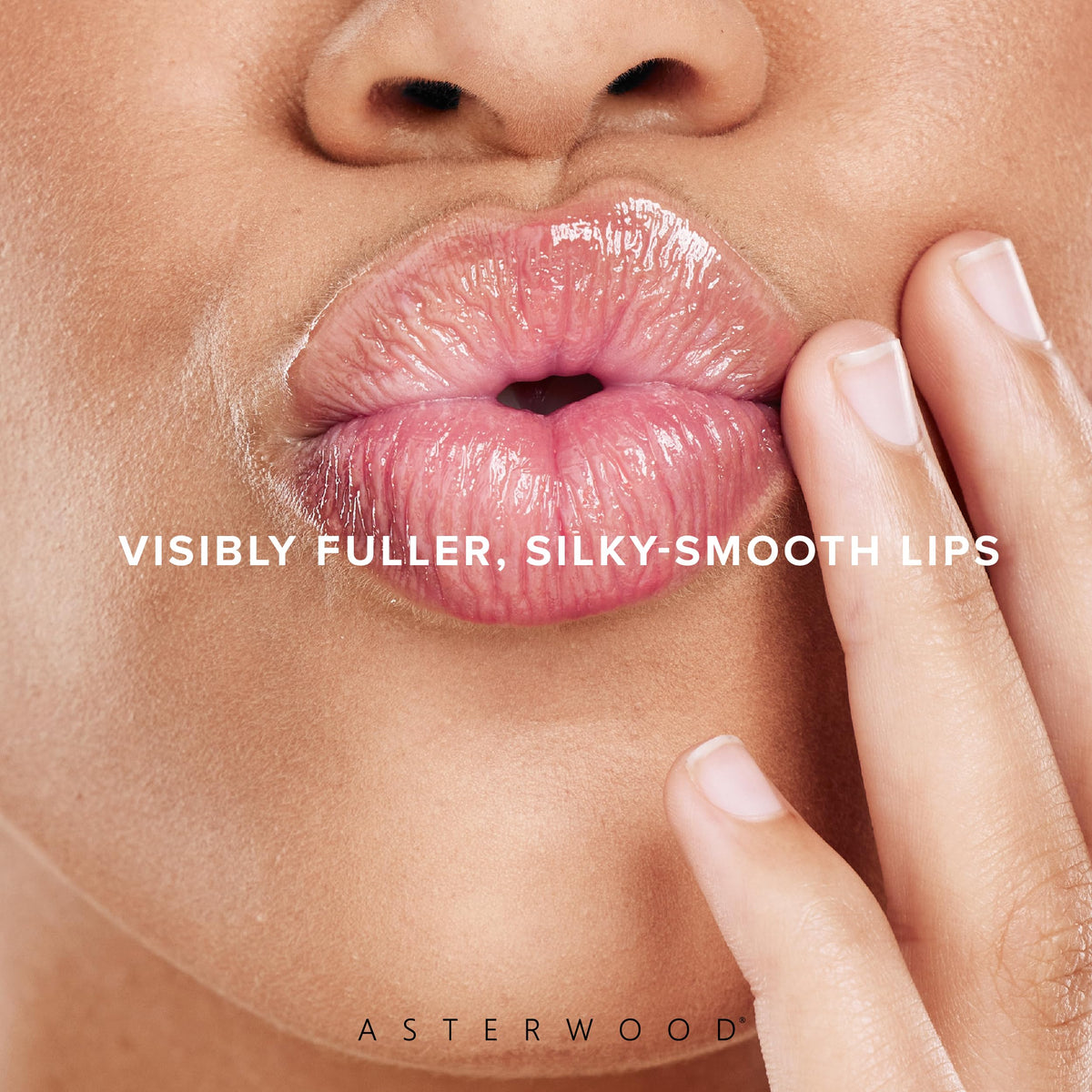 Asterwood ingredients layout showing Volulip hyaluronic acid Matrixyl 3000 benefits