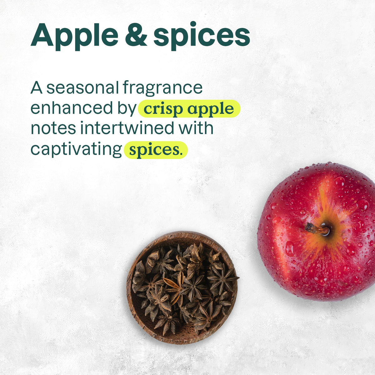 ATTITUDE in-use at kitchen sink illustrating everyday cleansing and cosy scent