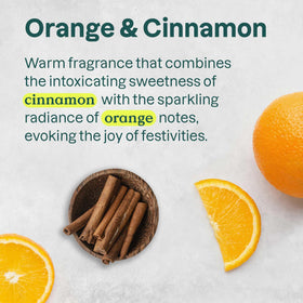 ATTITUDE label closeup highlighting EWG Verified and natural ingredient transparency