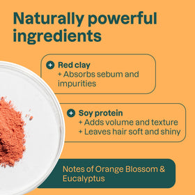 ATTITUDE shampoo bar applied to wet hair demonstrating root lather for volume