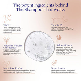 Augustinus Bader conditioner being applied to wet hair improving detangling