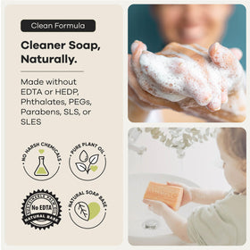 Australian Botanical Soap shea butter and Valencia orange ingredients showing natural boost
