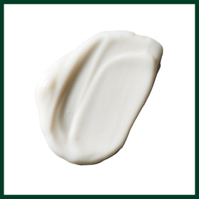 Oat stalks and aloe leaf beside Aveda All-Sensitive Lotion highlighting soothing botanical ingredients