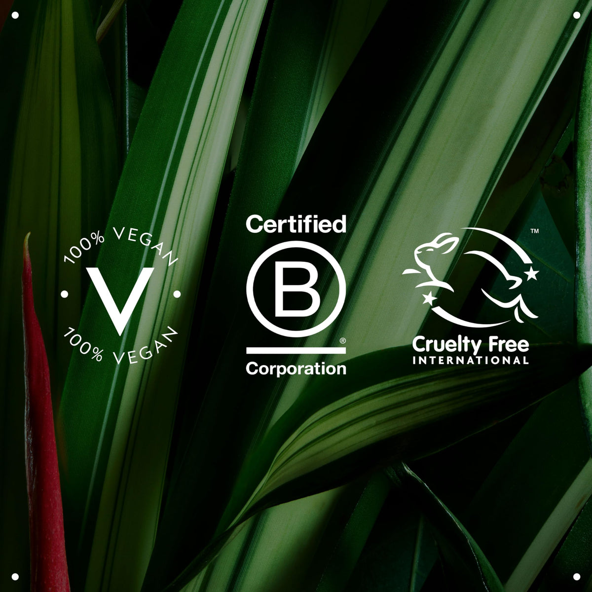 Aveda cleanser on bathroom counter conveying daily skincare ritual convenience
