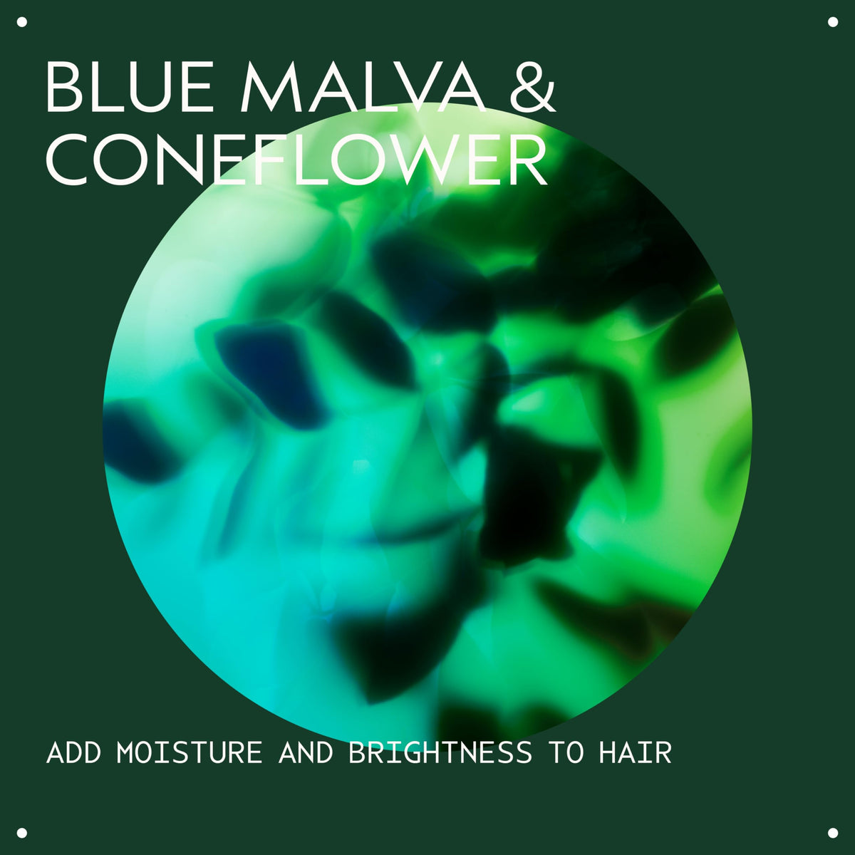Aveda Blue Malva foamy lather on blonde hair demonstrating brassiness neutralization