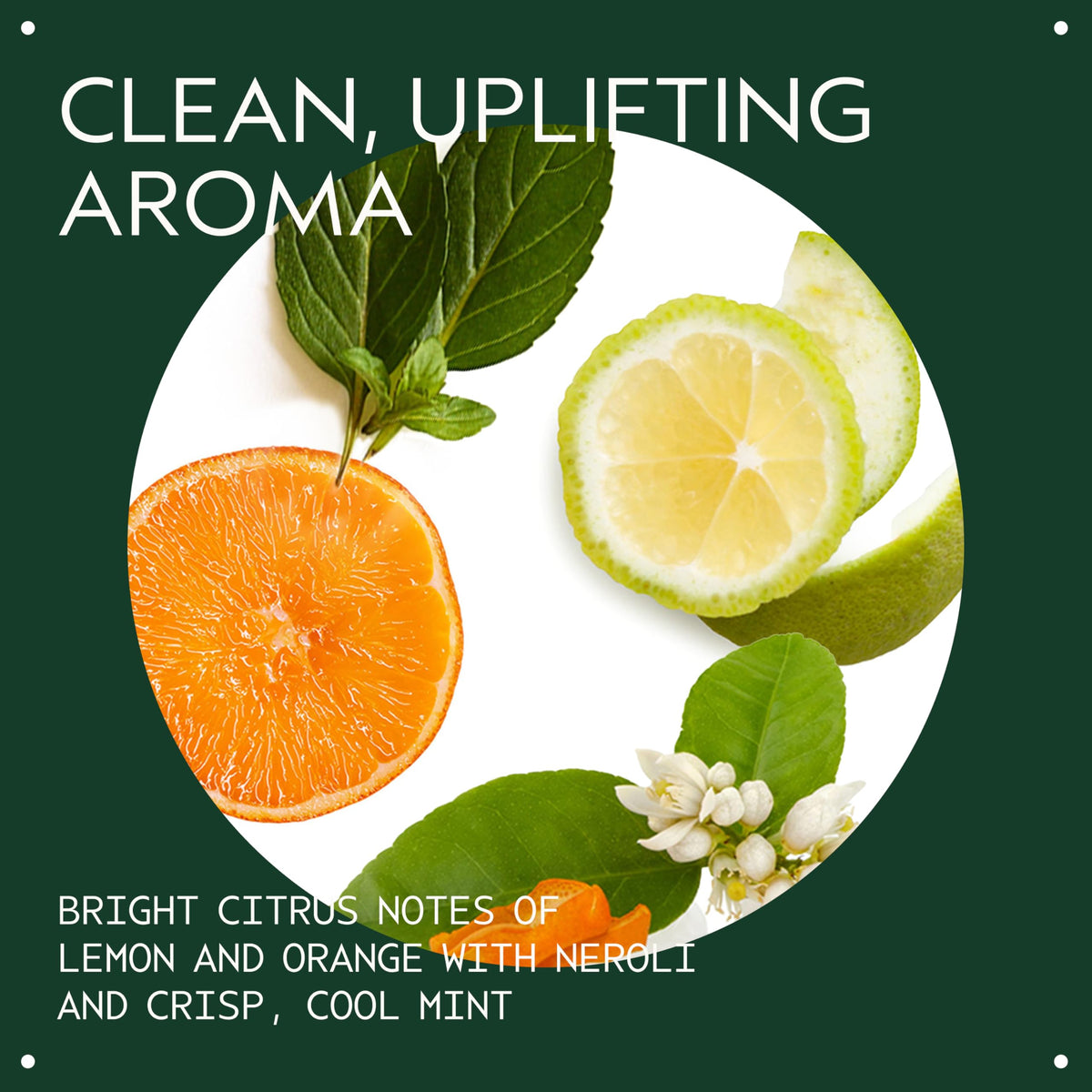 Aveda pump cap detail for easy dispensing and controlled application