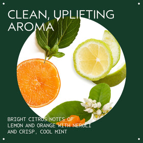 Aveda pump cap detail for easy dispensing and controlled application