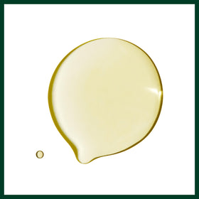 Applying Aveda Dry Remedy oil to palms before smoothing hair for frizz control