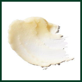 Aveda Lip Saver near cinnamon clove anise botanicals illustrating natural oils and aromatic benefit