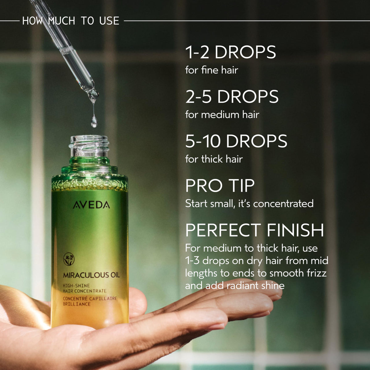 Aveda ingredient focus with tsubaki and daikon seeds showing botanical sourcing