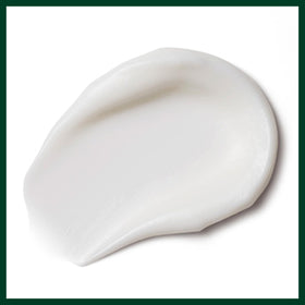 Aveda Nutriplenish held in hand to show compact 0.85 fl oz travel-friendly size
