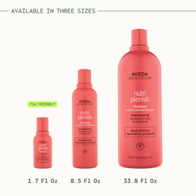 Aveda Nutriplenish shampoo scent ingredient arrangement showing warm earthy aroma
